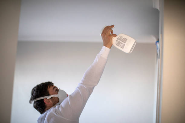 Santa Barbara, CA Mold Remediation Company
