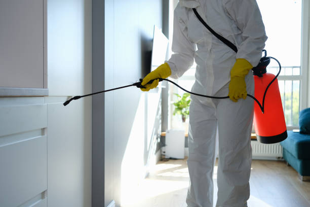 Best Mold Remediation for Schools in Santa Barbara, CA