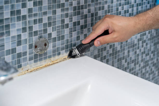 Best Basement Mold Remediation in Santa Barbara, CA