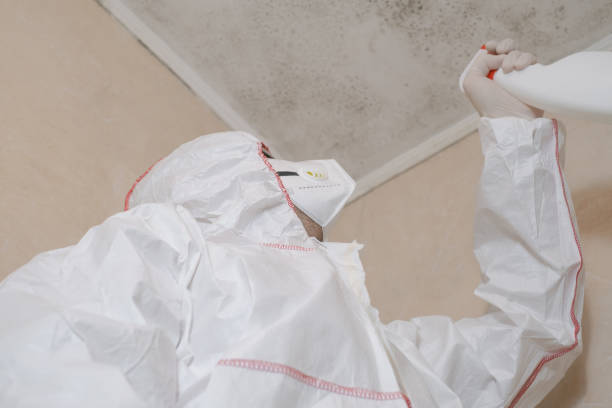 Best Crawl Space Mold Remediation in Santa Barbara, CA